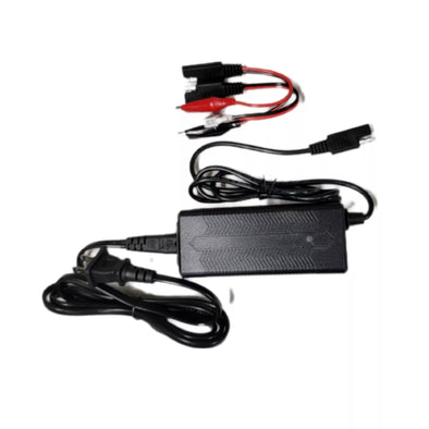Amped Outdoors 3a LifePo4 Battery Charger - Connect-Ease. Connect all your marine equipment with ease.