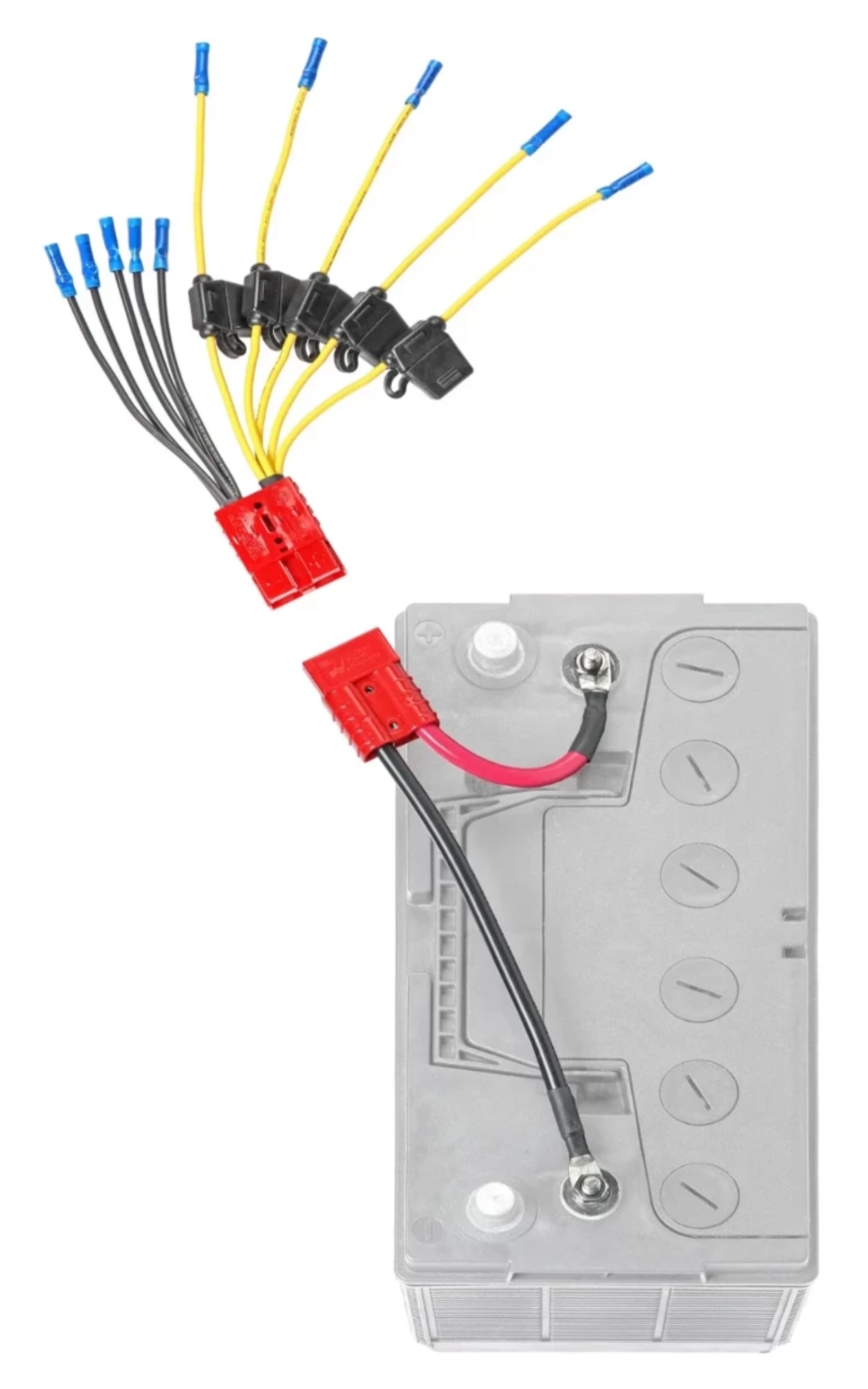 Multi Accessory (5) Fused Connection Kit (CE12VB5FK)* - Connect-Ease. Connect all your marine equipment with ease.